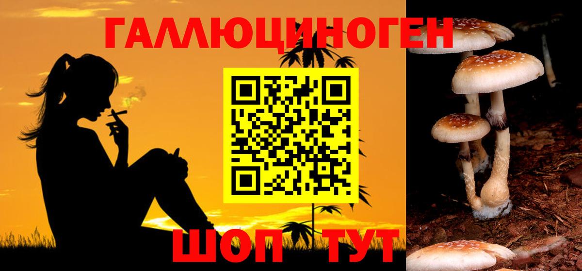 Галлюциногенные грибы Cubensis  Вход с VPN  Асбест 